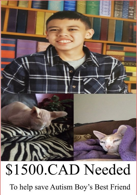 Jace and his cat Mr. skins Jace and his cat Mr. skins